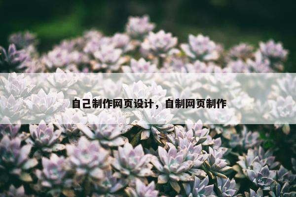 自己制作网页设计，自制网页制作-第1张图片-冷动云