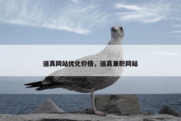 道真网站优化价格，道真兼职网站-第1张图片-冷动云