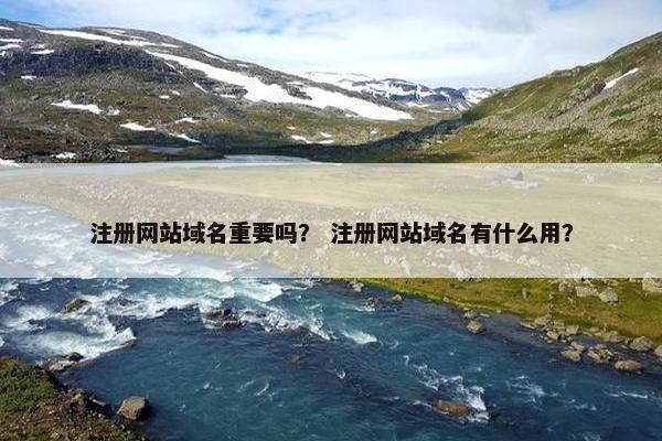 注册网站域名重要吗？ 注册网站域名有什么用？-第1张图片-冷动云