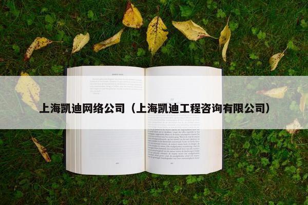 上海凯迪网络公司（上海凯迪工程咨询有限公司）-第1张图片-冷动云