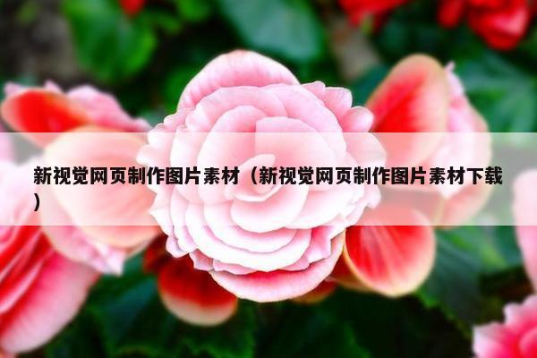 新视觉网页制作图片素材（新视觉网页制作图片素材下载）-第1张图片-冷动云