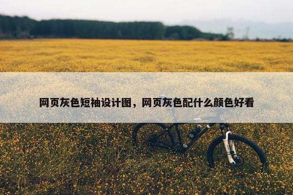 网页灰色短袖设计图，网页灰色配什么颜色好看-第1张图片-冷动云