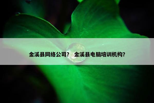 金溪县网络公司？ 金溪县电脑培训机构？-第1张图片-冷动云