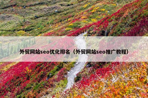 外贸网站seo优化排名（外贸网站seo推广教程）-第1张图片-冷动云