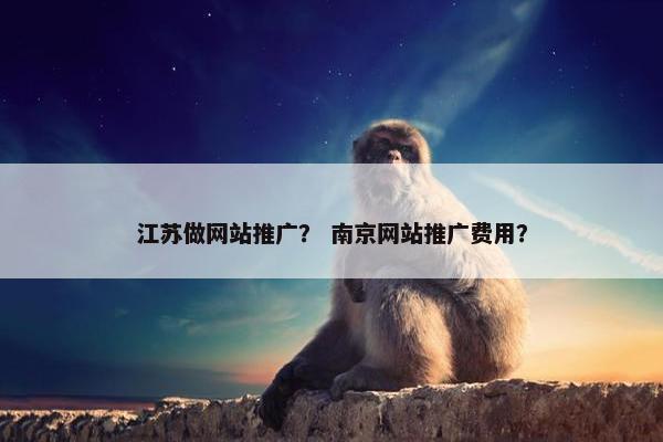 江苏做网站推广？ 南京网站推广费用？-第1张图片-冷动云