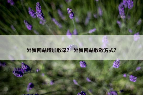 外贸网站增加收录？ 外贸网站收款方式？-第1张图片-冷动云