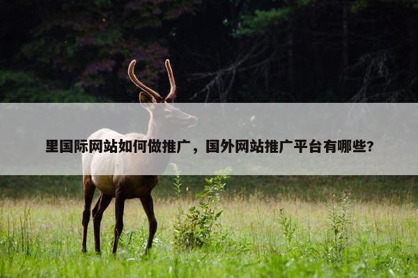里国际网站如何做推广，国外网站推广平台有哪些?-第1张图片-冷动云