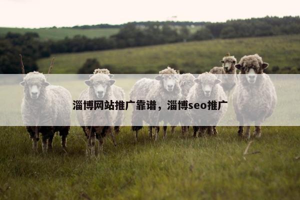 淄博网站推广靠谱，淄博seo推广-第1张图片-冷动云