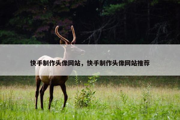 快手制作头像网站，快手制作头像网站推荐-第1张图片-冷动云
