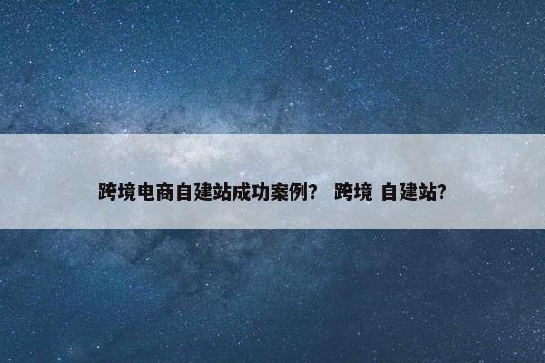 跨境电商自建站成功案例？ 跨境 自建站？-第1张图片-冷动云