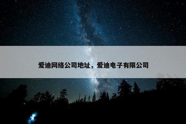 爱迪网络公司地址，爱迪电子有限公司-第1张图片-冷动云