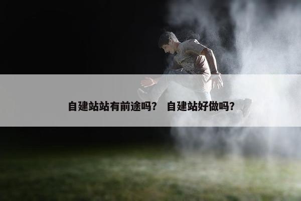 自建站站有前途吗？ 自建站好做吗？-第1张图片-冷动云