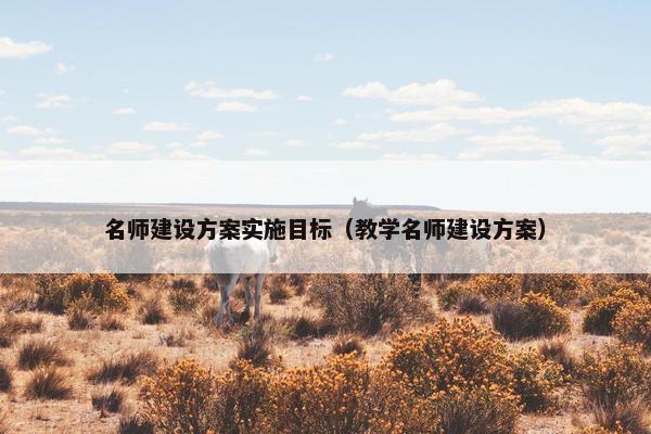名师建设方案实施目标（教学名师建设方案）-第1张图片-冷动云