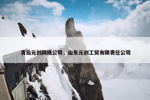 青岛元创网络公司，山东元创工贸有限责任公司-第1张图片-冷动云