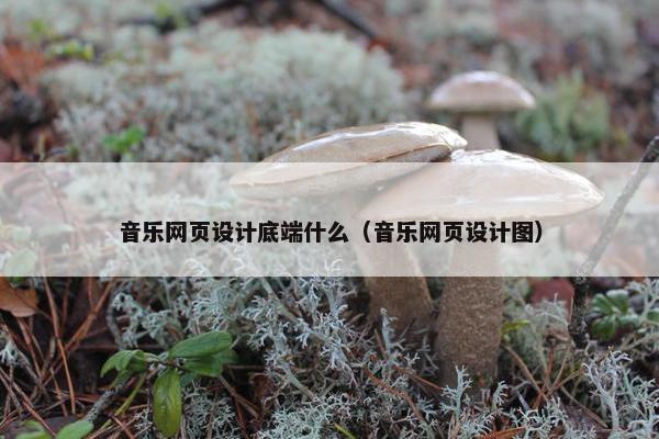 音乐网页设计底端什么（音乐网页设计图）-第1张图片-冷动云