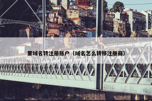 里域名转注册账户（域名怎么转移注册商）-第1张图片-冷动云