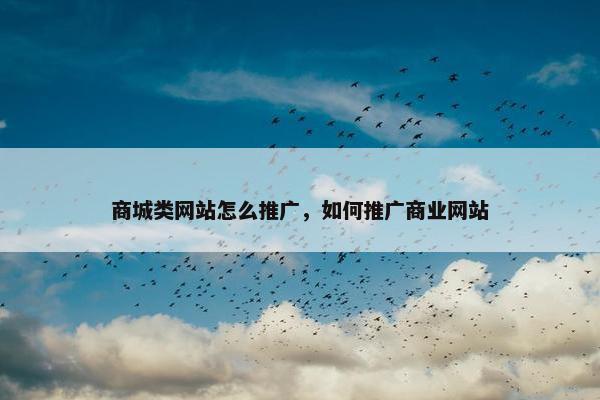 商城类网站怎么推广，如何推广商业网站-第1张图片-冷动云