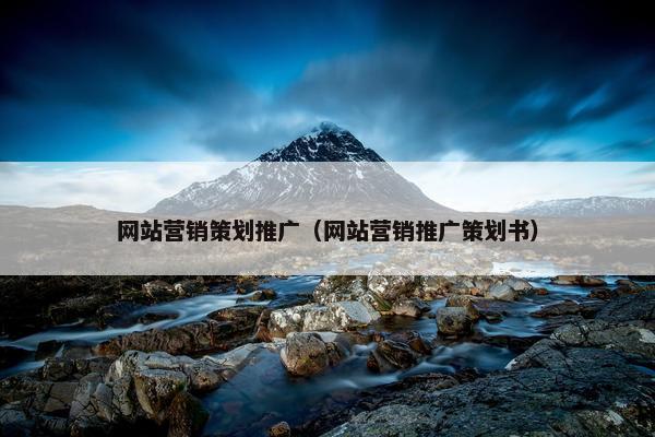 网站营销策划推广（网站营销推广策划书）-第1张图片-冷动云