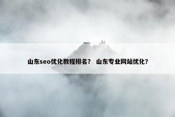 山东seo优化教程排名？ 山东专业网站优化？-第1张图片-冷动云