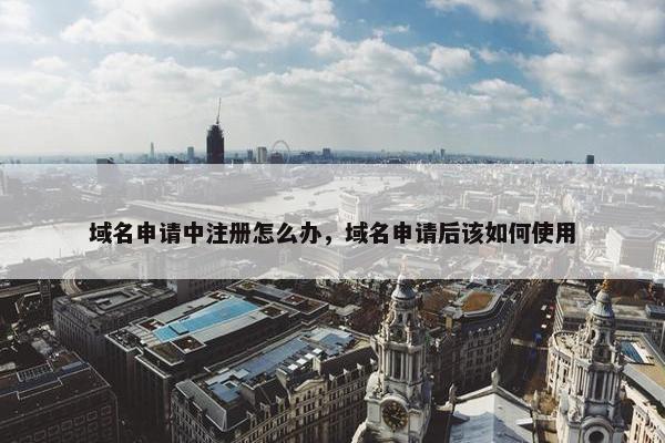 域名申请中注册怎么办，域名申请后该如何使用-第1张图片-冷动云