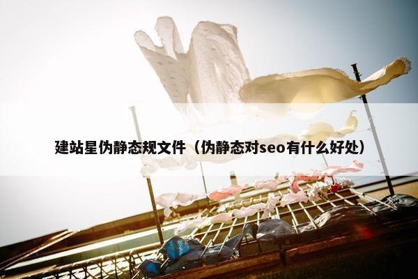 建站星伪静态规文件（伪静态对seo有什么好处）-第1张图片-冷动云
