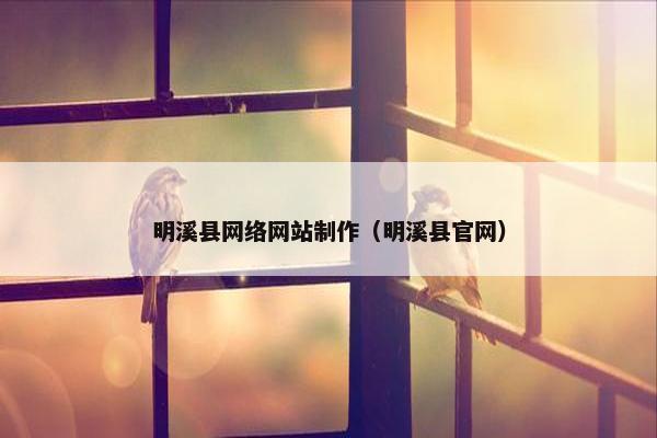 明溪县网络网站制作（明溪县官网）-第1张图片-冷动云