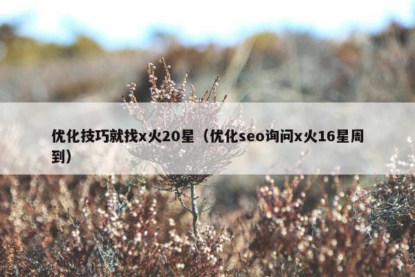 优化技巧就找x火20星（优化seo询问x火16星周到）-第1张图片-冷动云