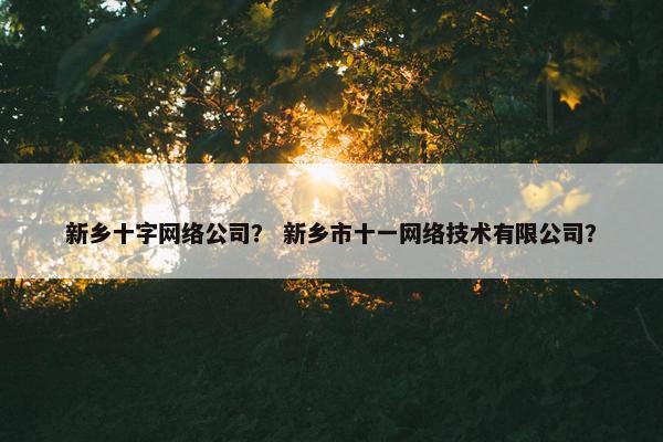新乡十字网络公司？ 新乡市十一网络技术有限公司？-第1张图片-冷动云