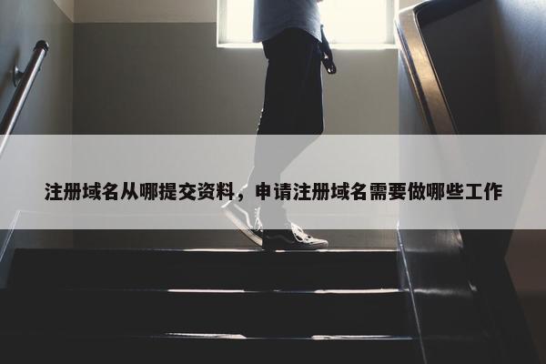 注册域名从哪提交资料，申请注册域名需要做哪些工作-第1张图片-冷动云