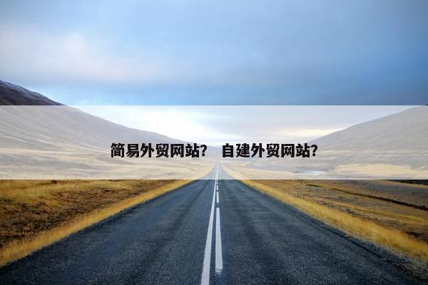 简易外贸网站？ 自建外贸网站？-第1张图片-冷动云