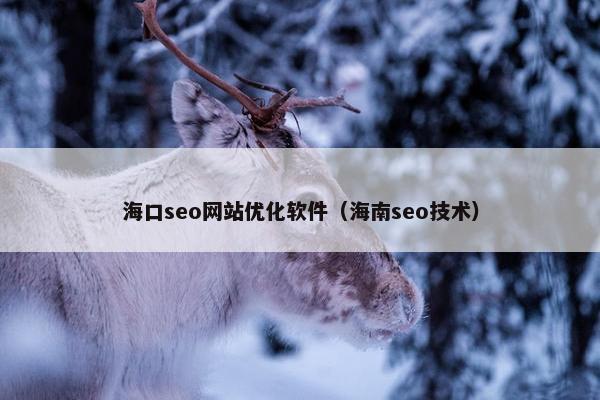 海口seo网站优化软件（海南seo技术）-第1张图片-冷动云