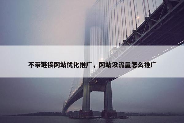 不带链接网站优化推广，网站没流量怎么推广-第1张图片-冷动云