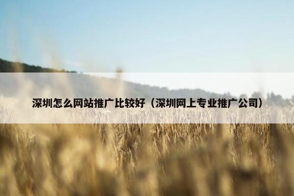深圳怎么网站推广比较好（深圳网上专业推广公司）-第1张图片-冷动云