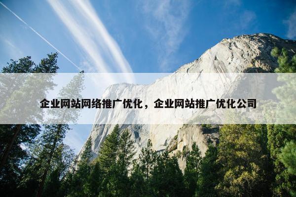 企业网站网络推广优化，企业网站推广优化公司-第1张图片-冷动云
