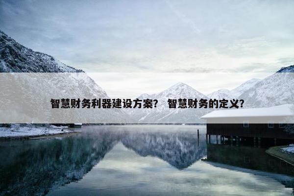 智慧财务利器建设方案？ 智慧财务的定义？-第1张图片-冷动云