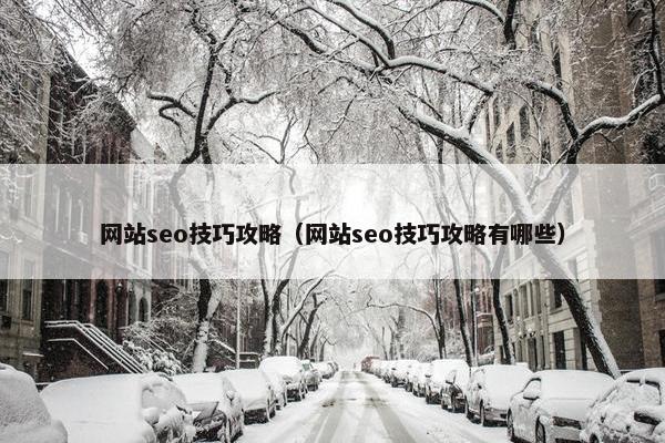 网站seo技巧攻略（网站seo技巧攻略有哪些）-第1张图片-冷动云