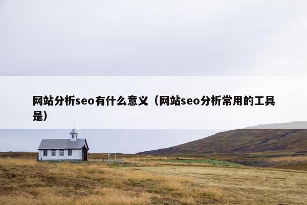 网站分析seo有什么意义（网站seo分析常用的工具是）-第1张图片-冷动云