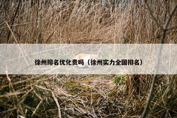 徐州排名优化贵吗（徐州实力全国排名）-第1张图片-冷动云