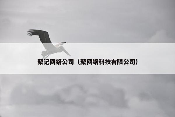 聚记网络公司（聚网络科技有限公司）-第1张图片-冷动云