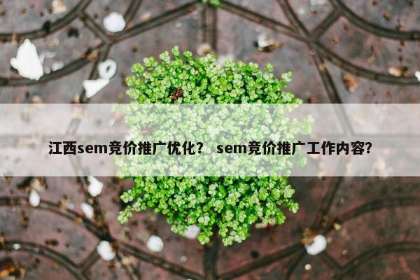 江西sem竞价推广优化？ sem竞价推广工作内容？-第1张图片-冷动云