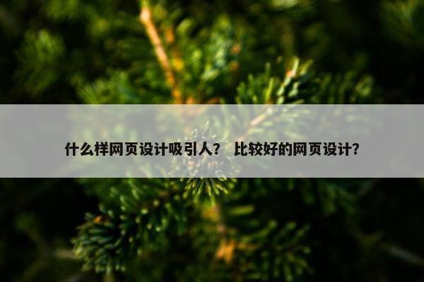 什么样网页设计吸引人？ 比较好的网页设计？-第1张图片-冷动云