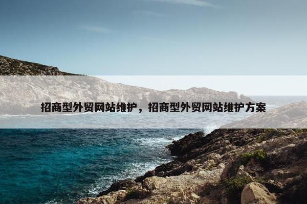 招商型外贸网站维护，招商型外贸网站维护方案-第1张图片-冷动云
