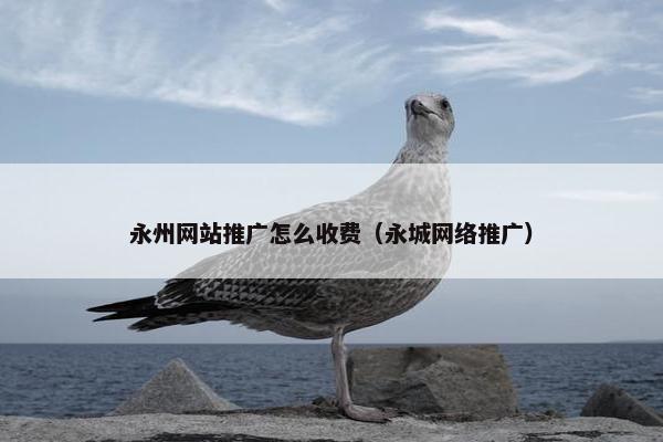 永州网站推广怎么收费（永城网络推广）-第1张图片-冷动云