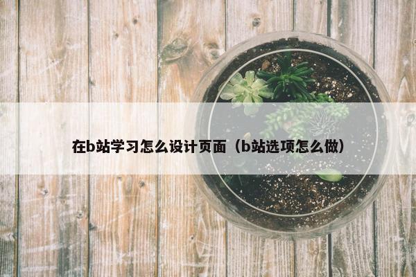 在b站学习怎么设计页面（b站选项怎么做）-第1张图片-冷动云