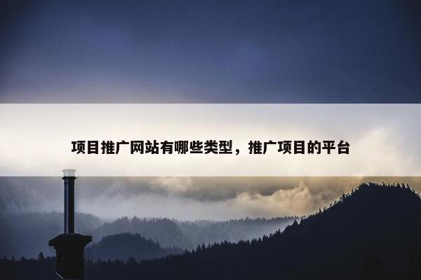 项目推广网站有哪些类型，推广项目的平台-第1张图片-冷动云