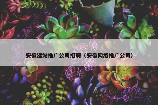 安徽建站推广公司招聘（安徽网络推广公司）-第1张图片-冷动云