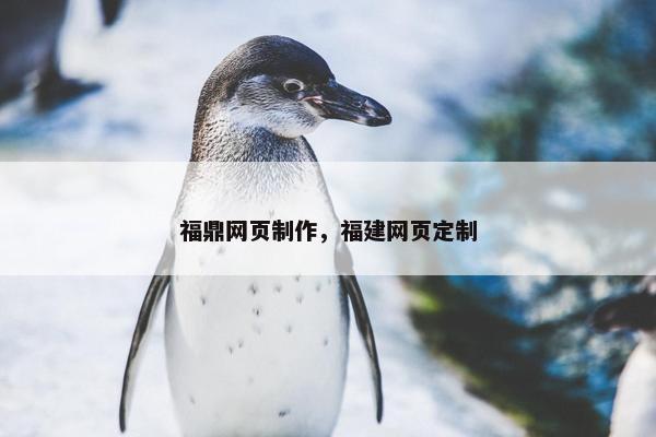 福鼎网页制作，福建网页定制-第1张图片-冷动云