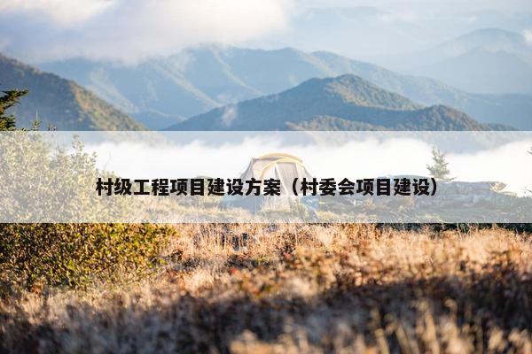 村级工程项目建设方案（村委会项目建设）-第1张图片-冷动云