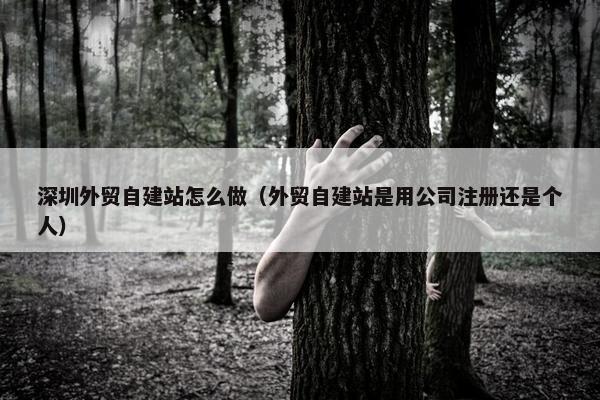 深圳外贸自建站怎么做（外贸自建站是用公司注册还是个人）-第1张图片-冷动云