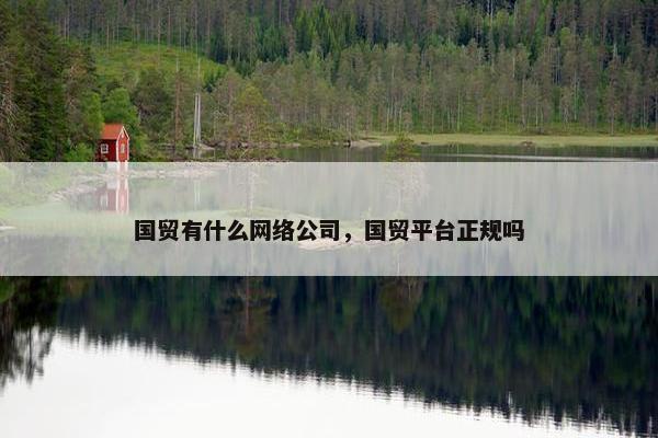 国贸有什么网络公司，国贸平台正规吗-第1张图片-冷动云